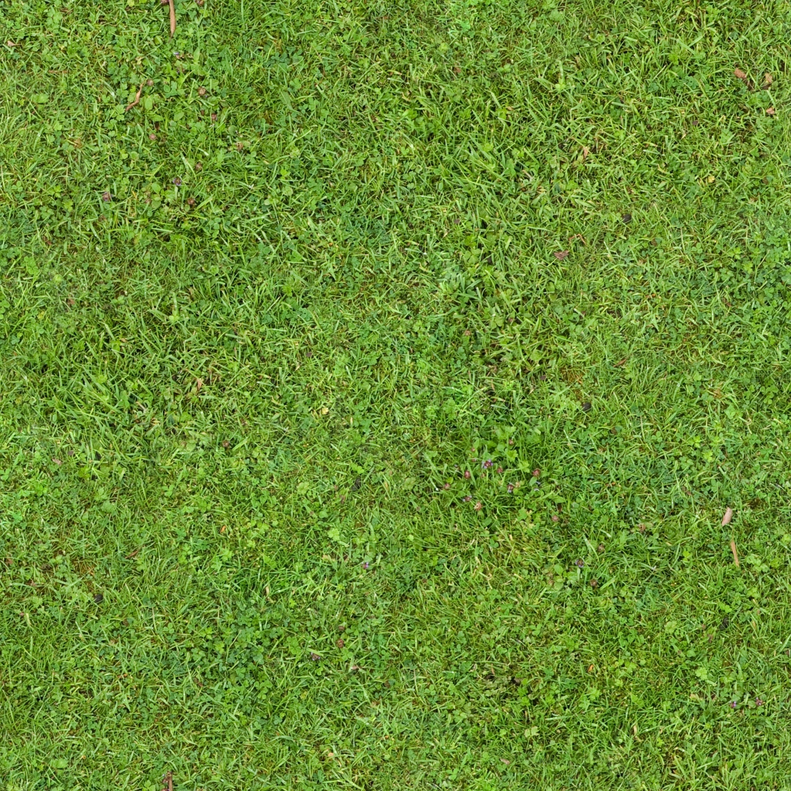 grass texture seamless low poly