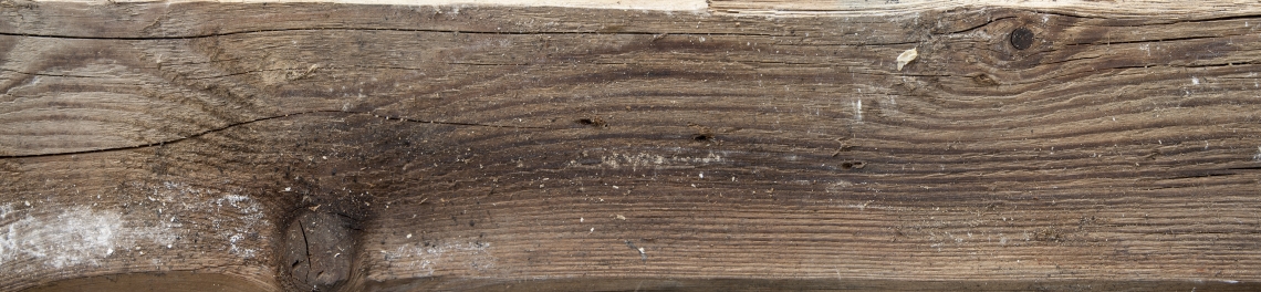 Wood Planks Old 0244