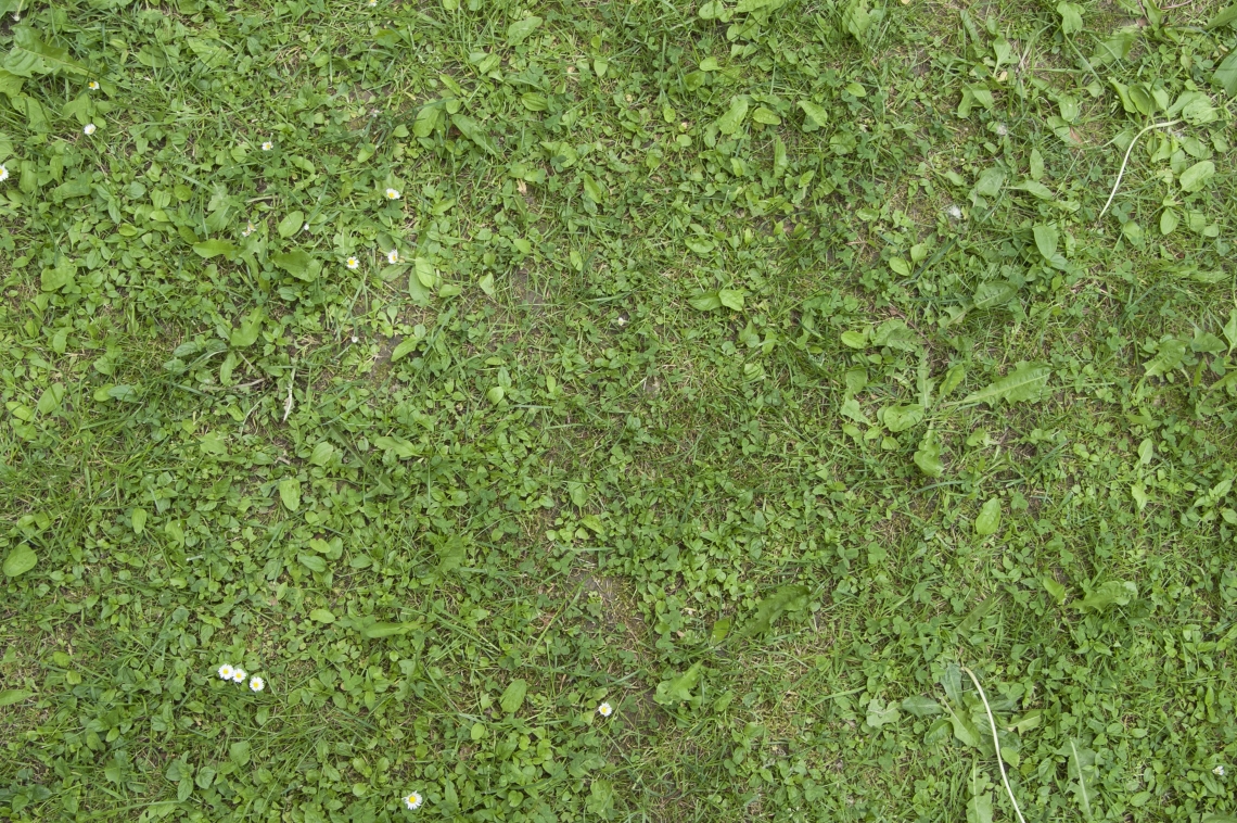 Grass Green 0208