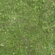 Grass Green 0208
