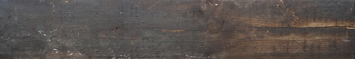 Wood Planks Old 0265