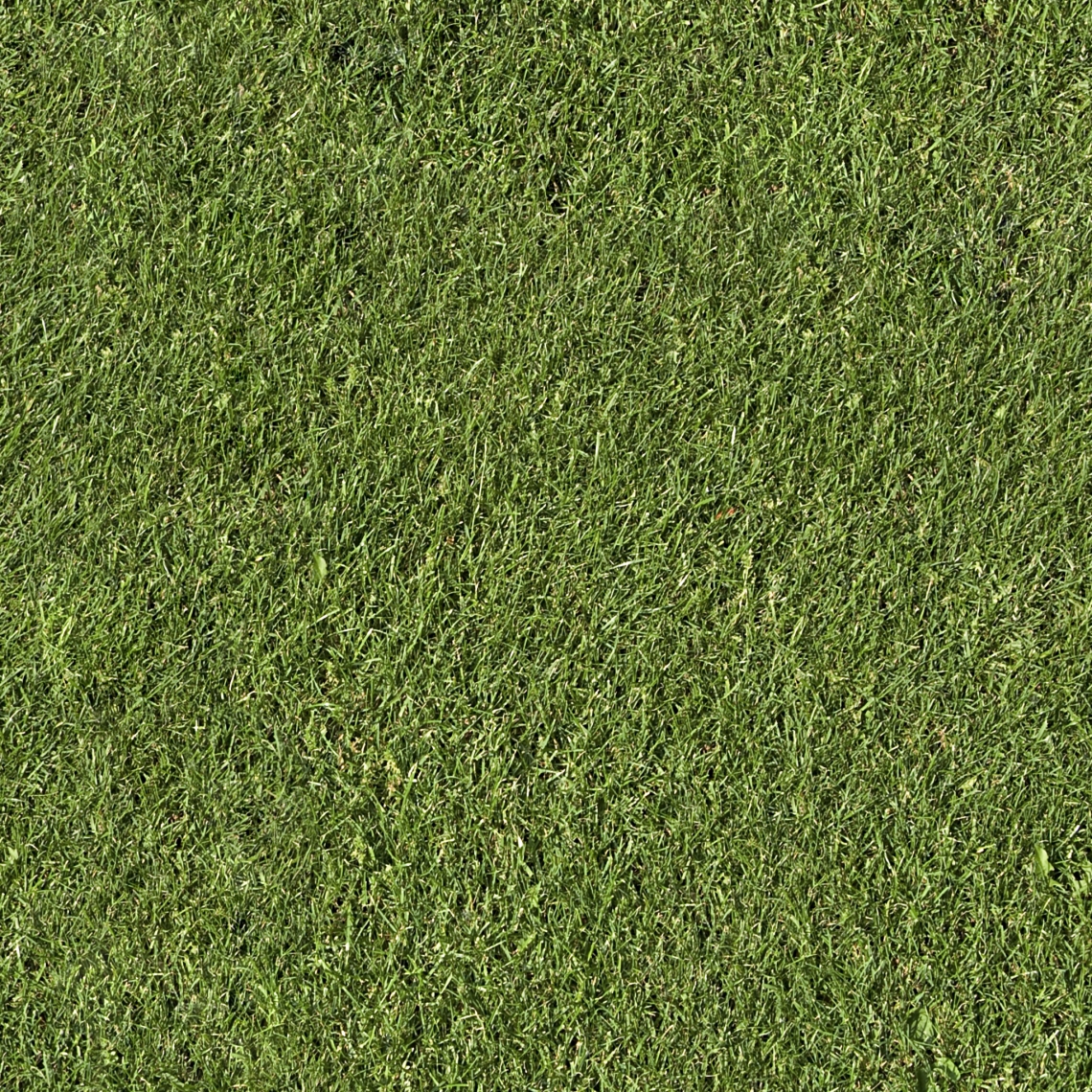 Seamless Grass - Good Textures