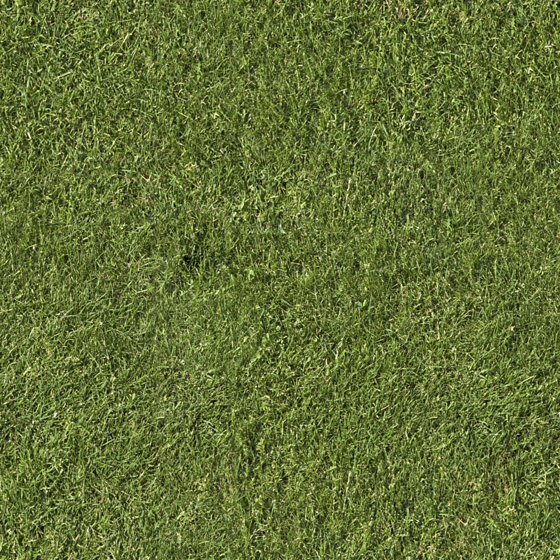 grass texture overlay