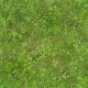 Seamless Grass