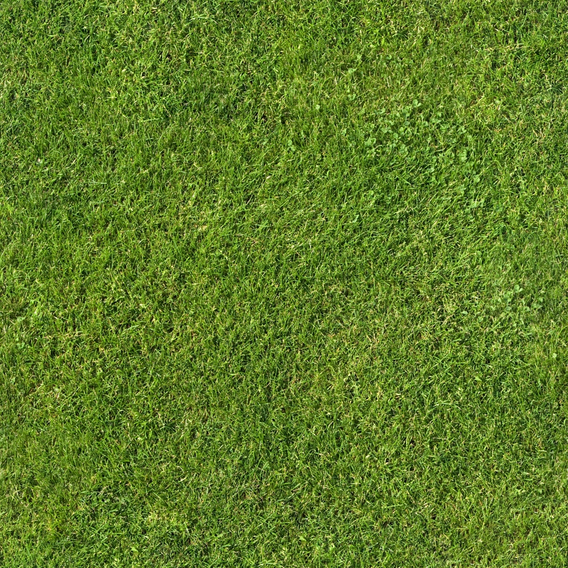 grass texture overlay
