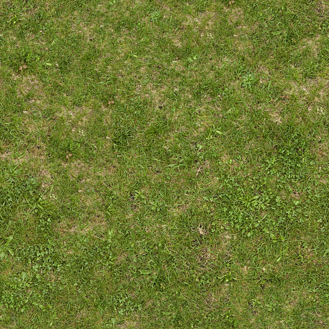 create seamless grass texture