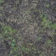 Ground Overgrown 0004